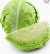 Bắp cải - Hải Anh