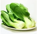 Cải chíp - Hải Anh