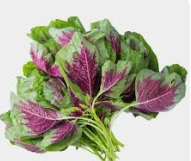 Rau dền - Hải Anh