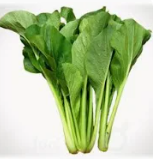 Rau cải ngọt Hải Anh