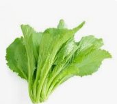 Rau cải xanh Hải Anh