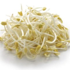 Giá đỗ
