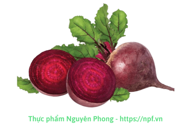 Củ dền đỏ
