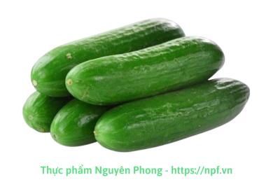 Dưa chuột