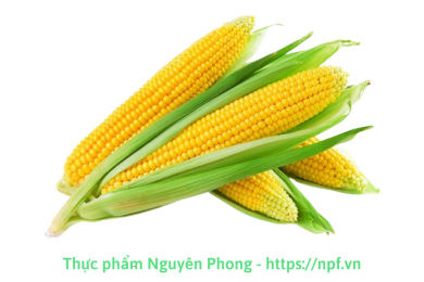 Ngô ngọt (bắp)