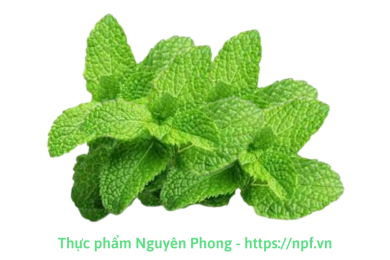 Rau bạc hà