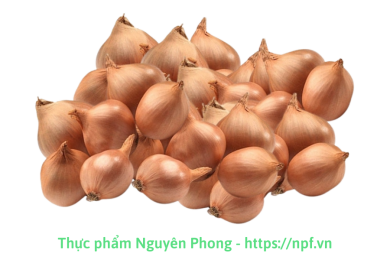 Hành khô ta