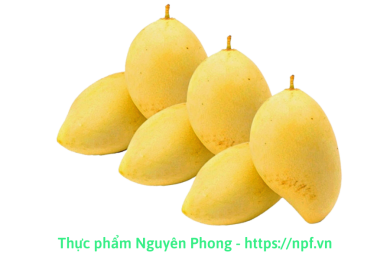 Xoài Cát Chu