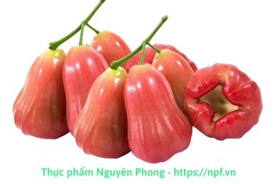 Roi đỏ