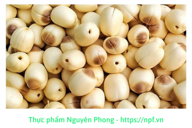 Hạt sen bắc