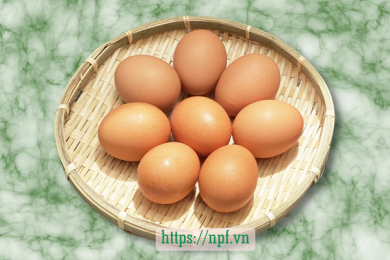 Trứng gà đỏ