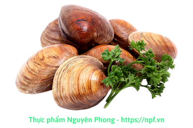 Ngao nâu