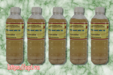 Bỗng rượu bà Bích