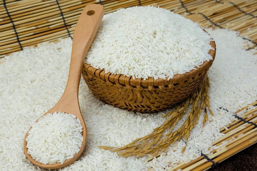 Gạo