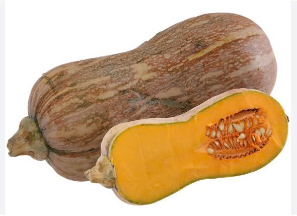 BÍ NGÔ ( BÍ ĐỎ)