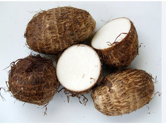KHOAI SỌ