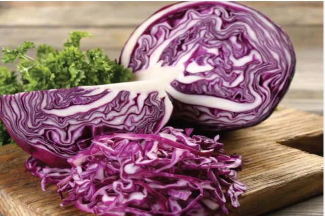BẮP CẢI TÍM