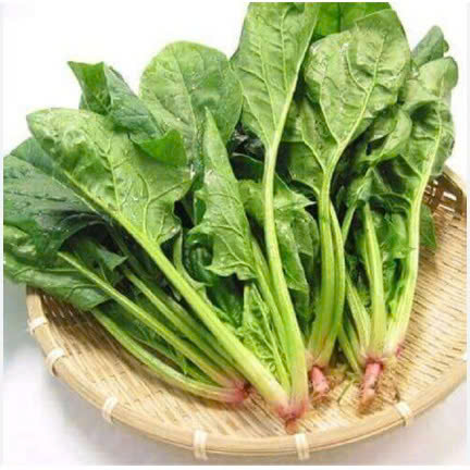 CẢI BÓ XÔI