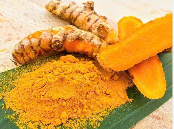 CỦ NGHỆ