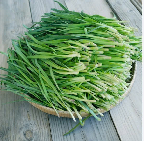 LÁ HẸ