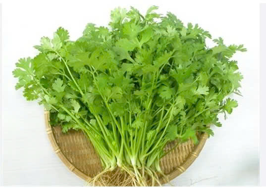 RAU MÙI TA