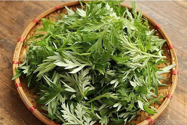 NGẢI CỨU