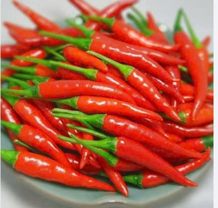 ỚT KIM