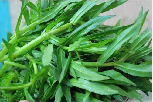 RAU NGỔ