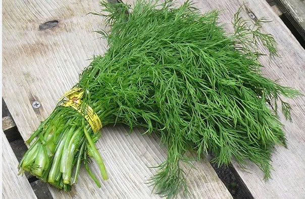 RAU THÌ LÀ