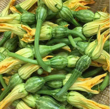 BÍ BAO TỬ