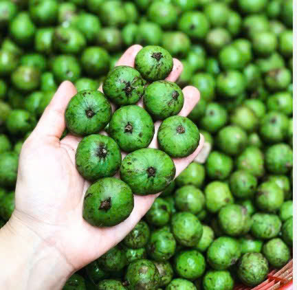 QUẢ SẤU