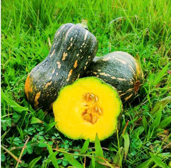 BÍ CÔ TIÊN
