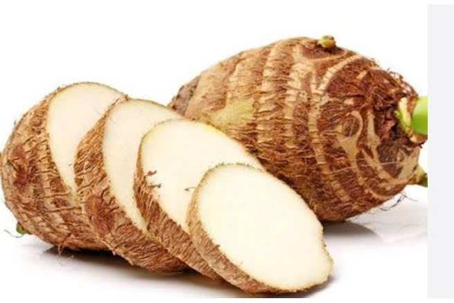 KHOAI MÔN TRẮNG