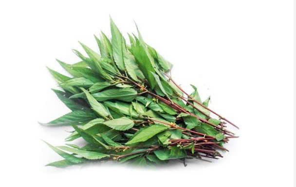 RAU ĐAY