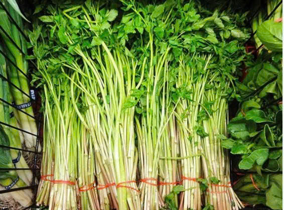 RAU CẦN TA