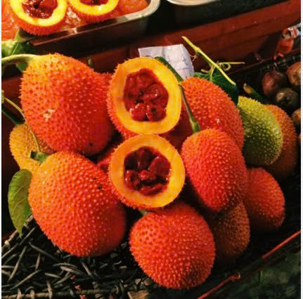 QUẢ GẤC