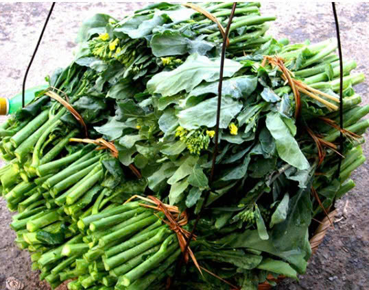 CẢI LÀN
