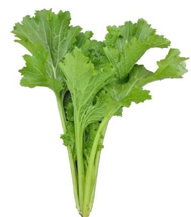 CẢI MÈO