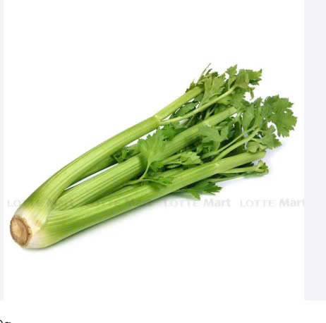 CẦN TÂY  ĐL