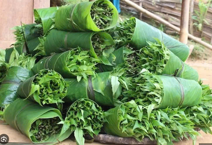 RAU RỪNG