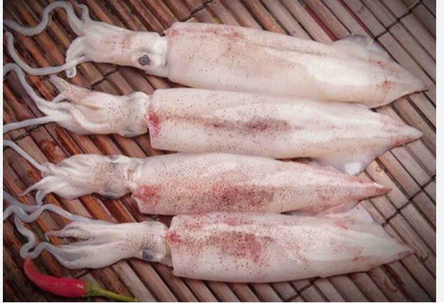 MỰC