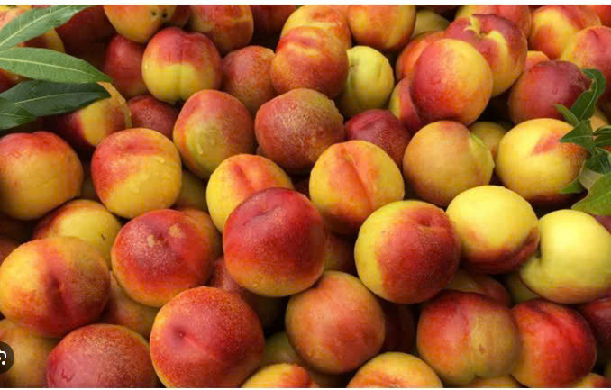 QUẢ ĐÀO