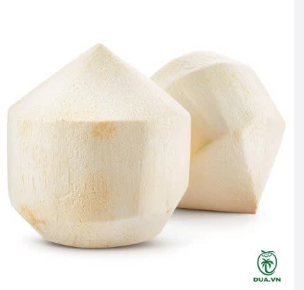DỪA