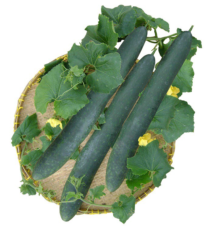 Bí xanh