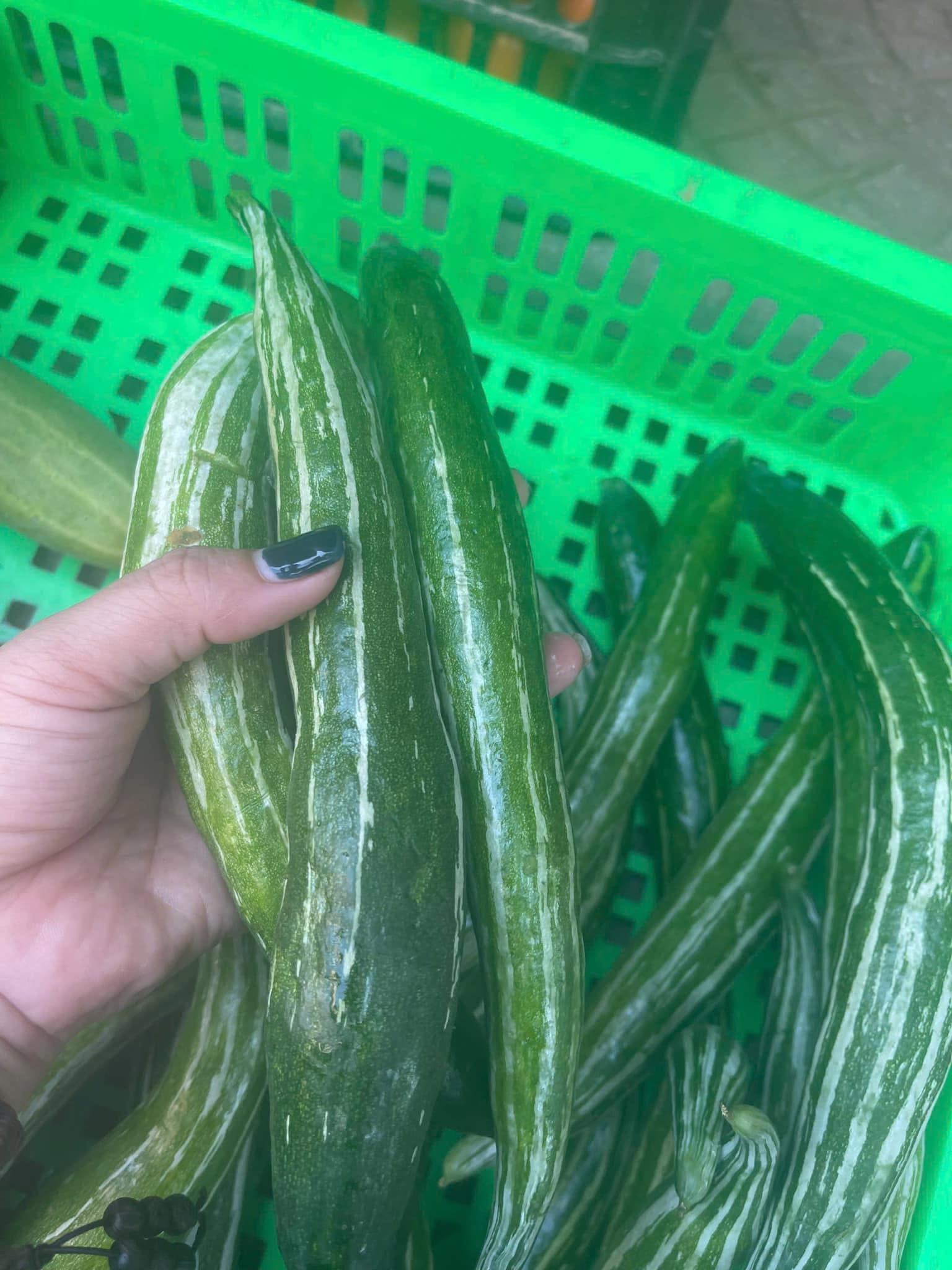 Lặc lày