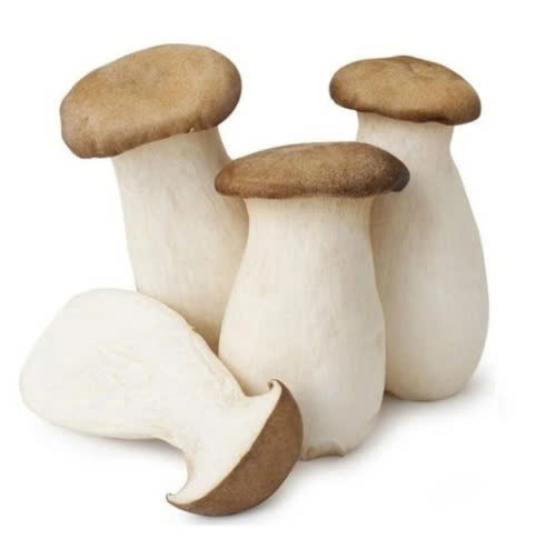 NẤM ĐÙI GÀ