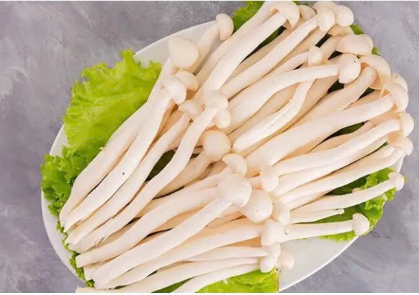 NẤM BẠCH TUYẾT ( NẤM HẢI SẢN)