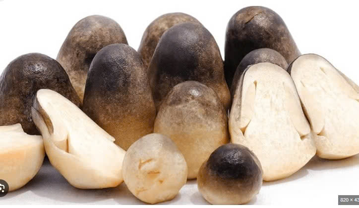 NẤM RƠM