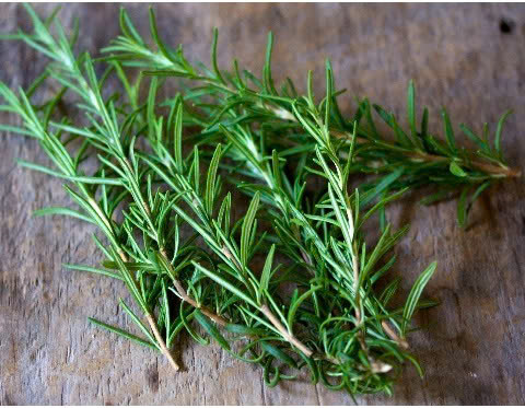 LÁ HƯƠNG THẢO