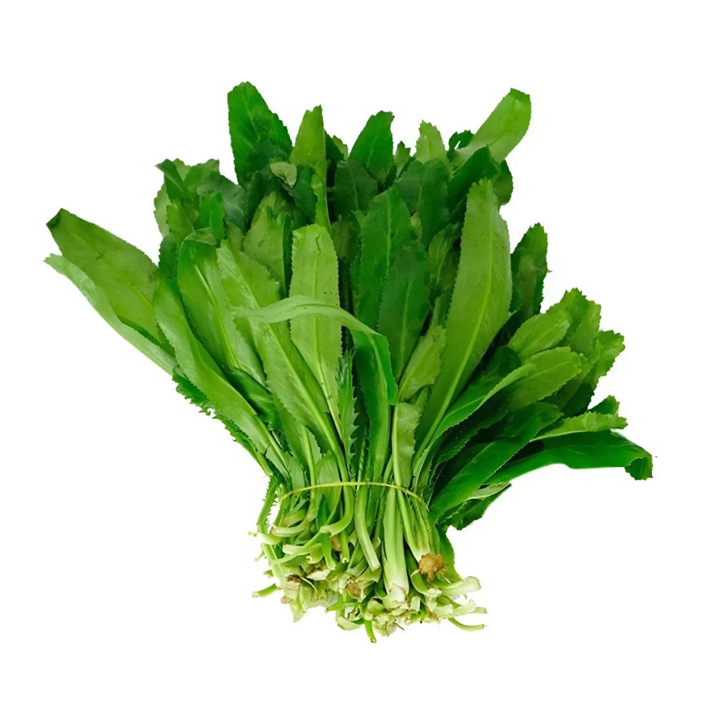 Rau mùi tàu